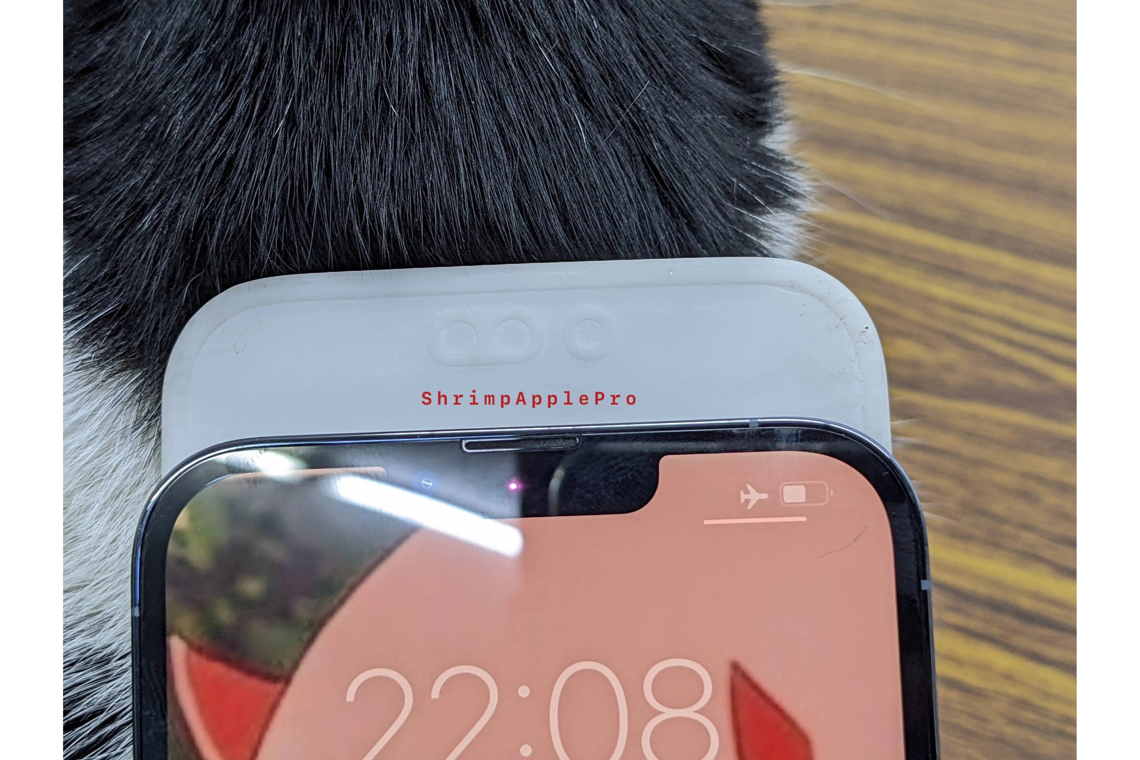 iPhone 14 dummy shows what the selfie camera cutout will look like - iPhone 14 camera: what to expect