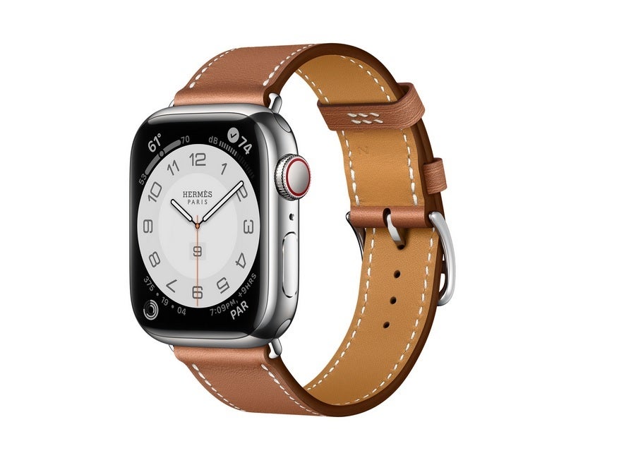 Hermes variant of the Apple Watch - Disney World guest loses Apple Watch on ride leading to $40K in fraudulent credit card charges
