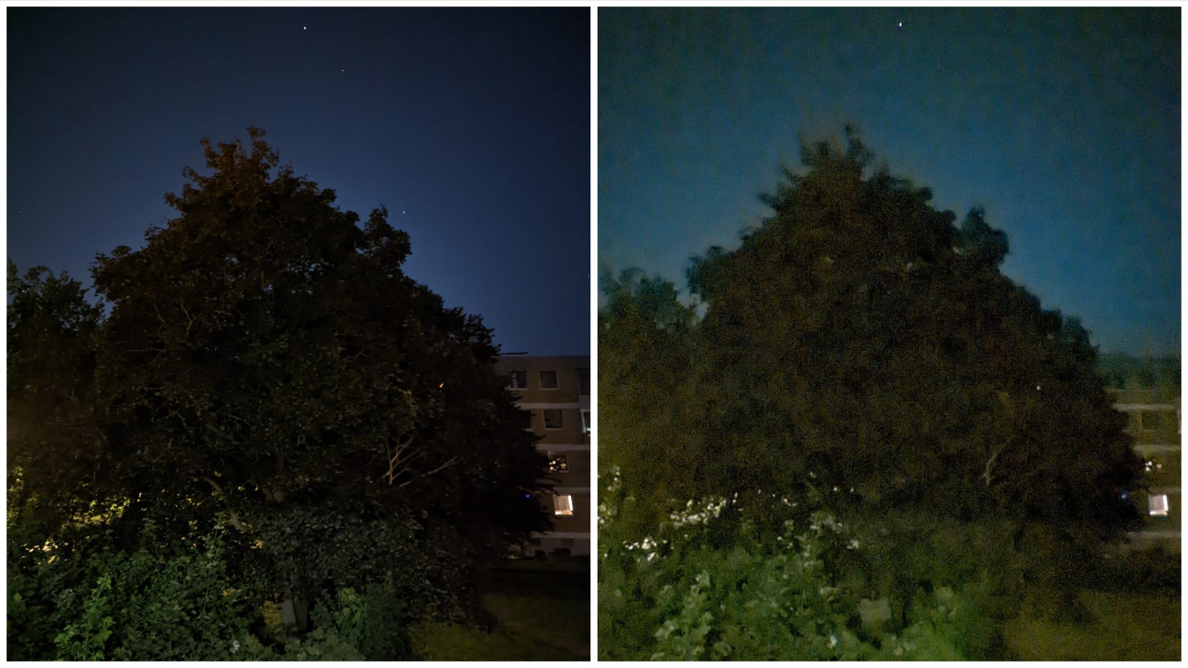 Pixel 6 - Primary vs Ultra-wide-angle camera with Night Mode (matched for zoom). - iPhone 13, Galaxy S22, Pixel 6 show Apple, Samsung, Google don’t take ultra-wide cameras seriously