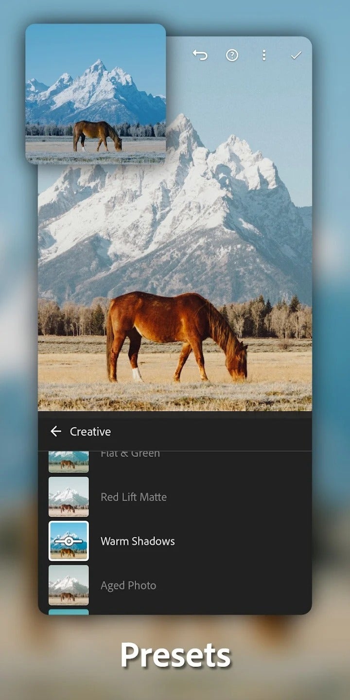 Lightroom Mobile for iOS and Android