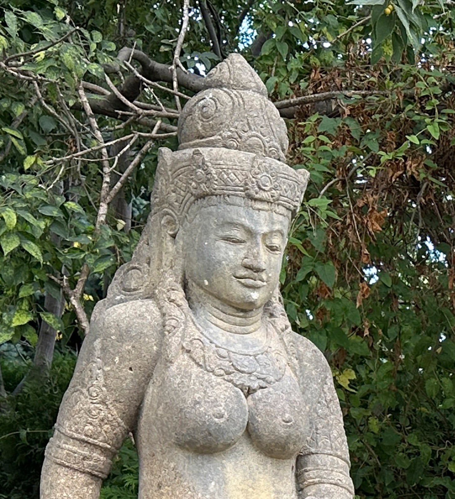 Cropped 12MP JPEG - 48MP ProRAW photos on iPhone 14 Pro are a game-changer