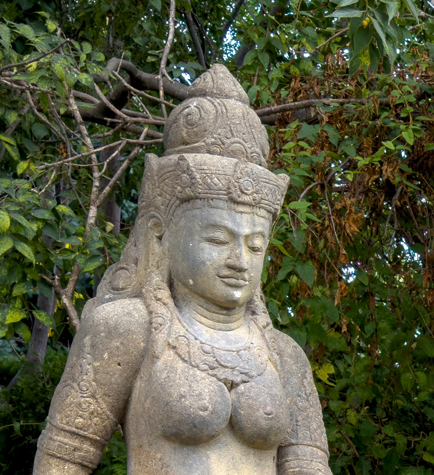 Cropped 48MP ProRAW file - 48MP ProRAW photos on iPhone 14 Pro are a game-changer