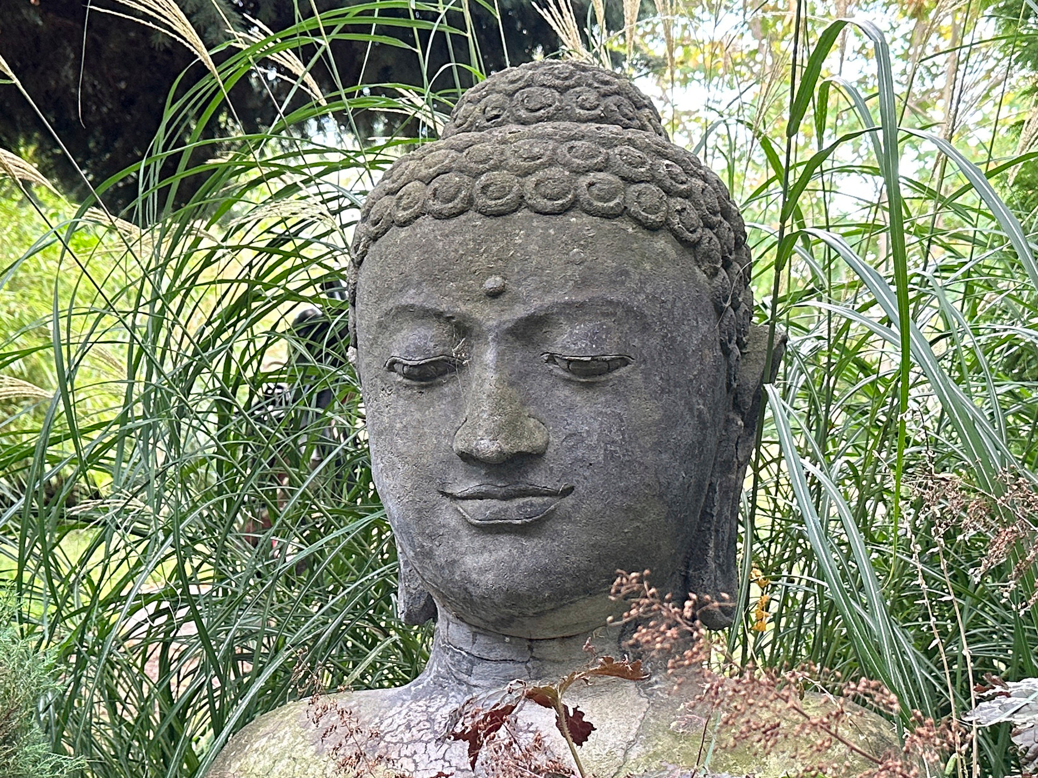 Cropped 12MP JPEG - 48MP ProRAW photos on iPhone 14 Pro are a game-changer