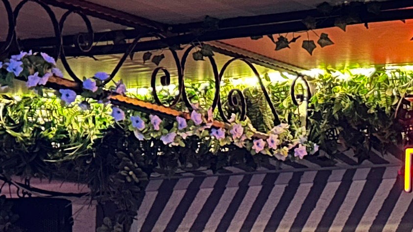 Cropped 12MP JPEG - 48MP ProRAW photos on iPhone 14 Pro are a game-changer
