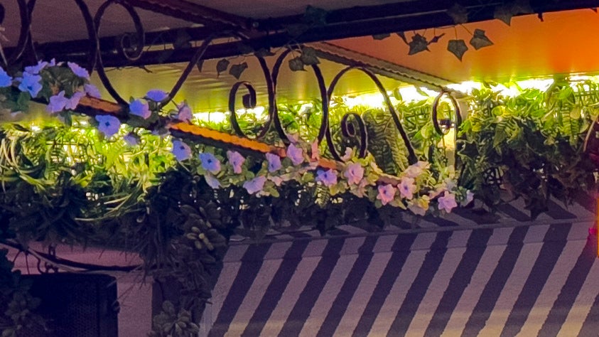 Cropped 48MP ProRAW file - 48MP ProRAW photos on iPhone 14 Pro are a game-changer