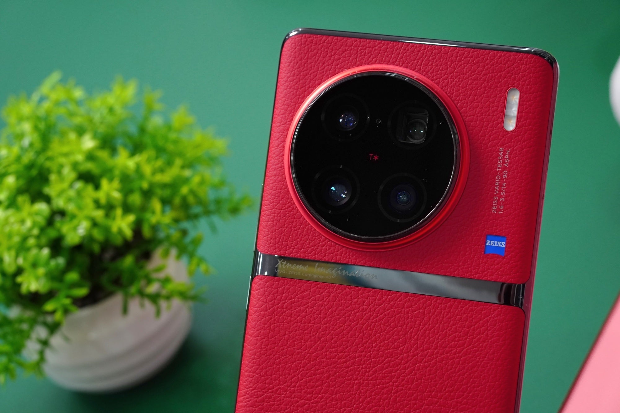Vivo X90 Pro Plus: Camera Test!