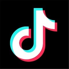 The proposed legislation seeks to ban TikTok in the U.S. - Bipartisan bill introduced in the U.S. House and Senate would result in the ban of TikTok and others