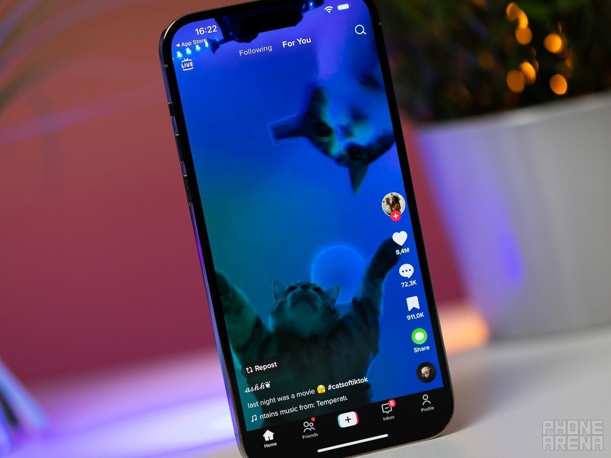 Cats are always cute, but you can stumble upon much darker things on TikTok too. - Apple and Google asked to ban TikTok over national security concerns