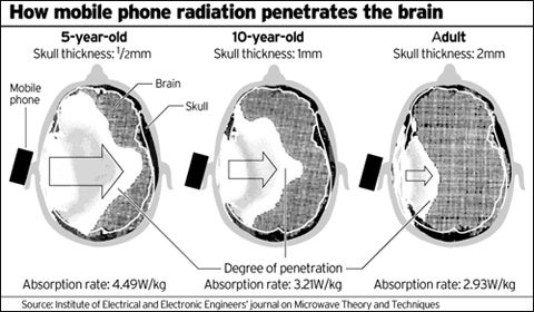 Cell phones and cancer: searching for the missing link