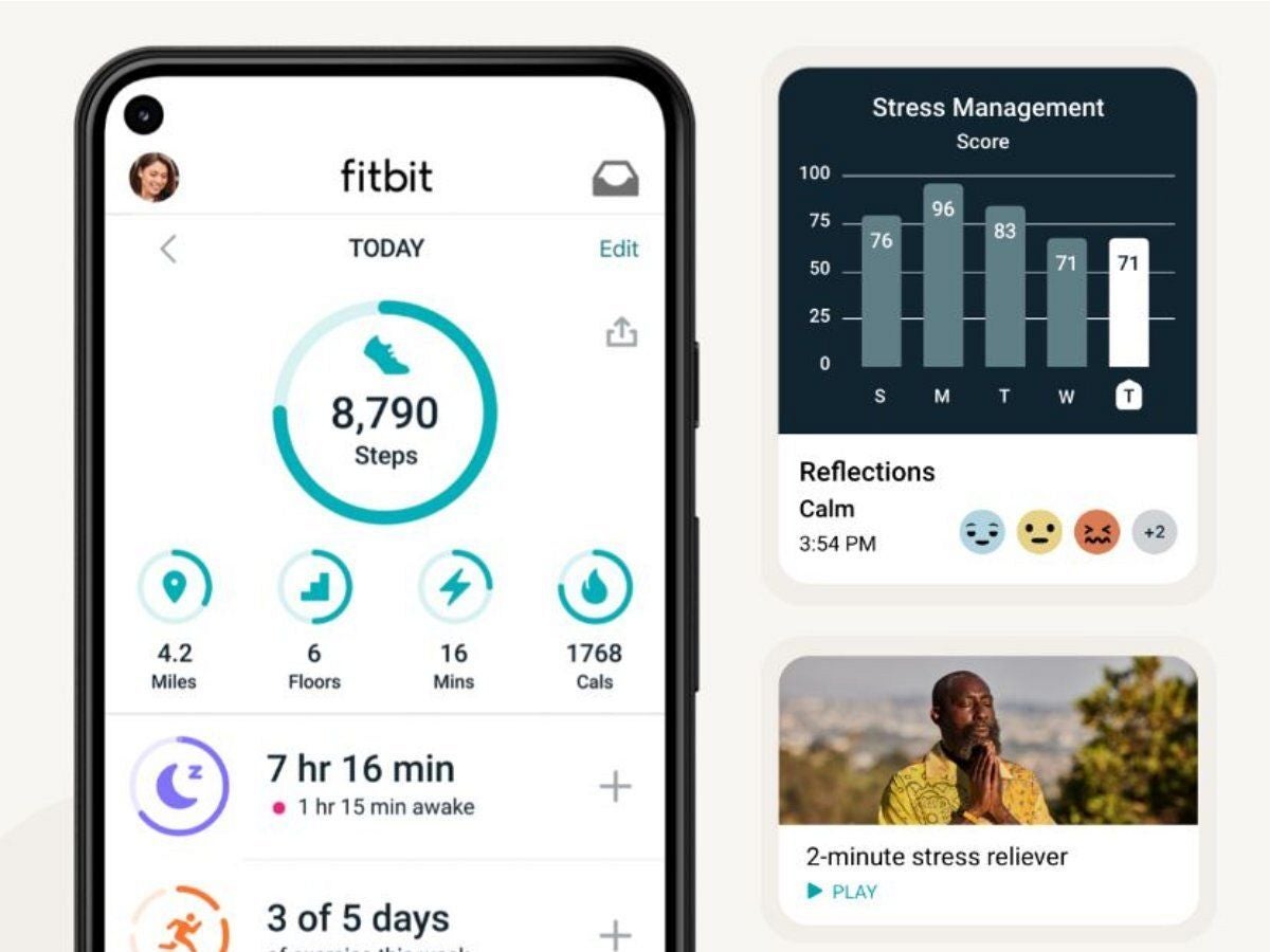 Different devices collect different types of data, depending on model and sensors. - FitBit lifts the paywall and lets its users see health data from the up to 90 days