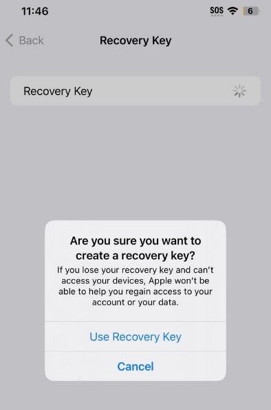 Criar uma chave de recuperação para o seu iPhone pode sair pela culatra, bloqueando você do dispositivo permanentemente - o recurso de segurança do iPhone da Apple bloqueia as vítimas de seus telefones roubados