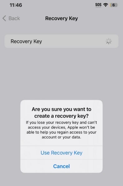 Creating a recovery key for your iPhone could backfire by locking you out of the device permanently - Apple iPhone security feature locks victims out of their stolen phones