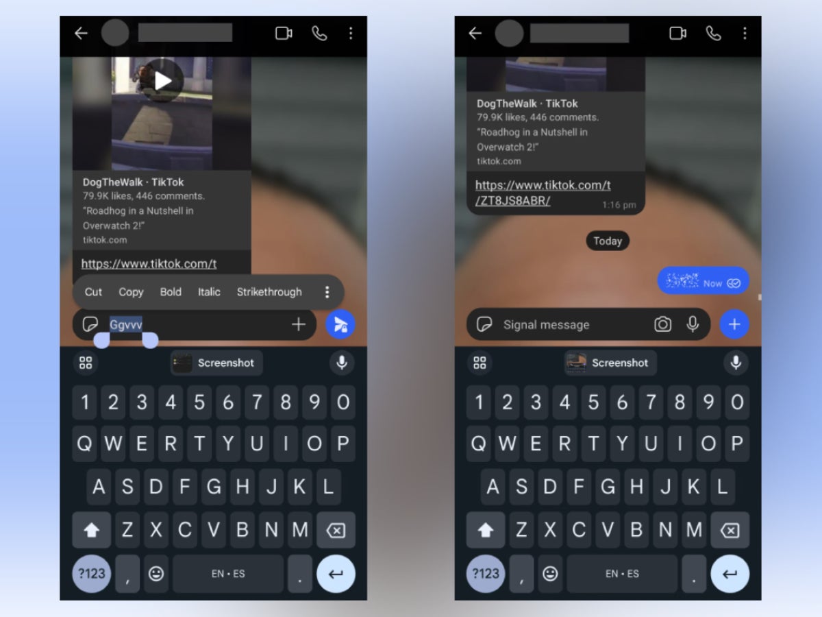 Some example screenshots, thanks to Android Police. - Signal’s latest beta steps up it’s texting game and allows you to be more expressive in-chat