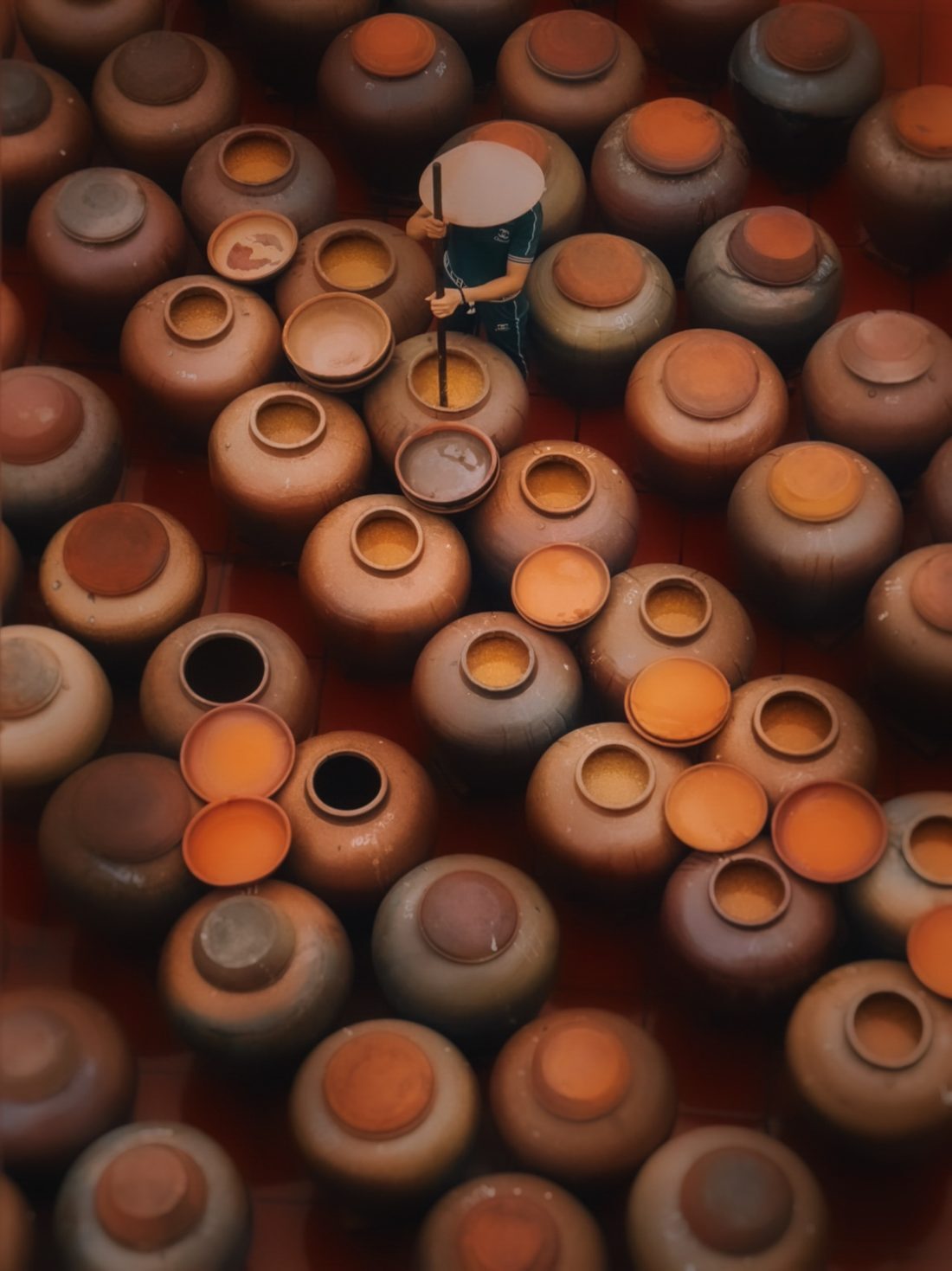 Soy Sauce Village, shot on iPhone 12 Pro Max by Thea Mihu - iPhone does it again: 2023 iPhone Photography Awards winners announced