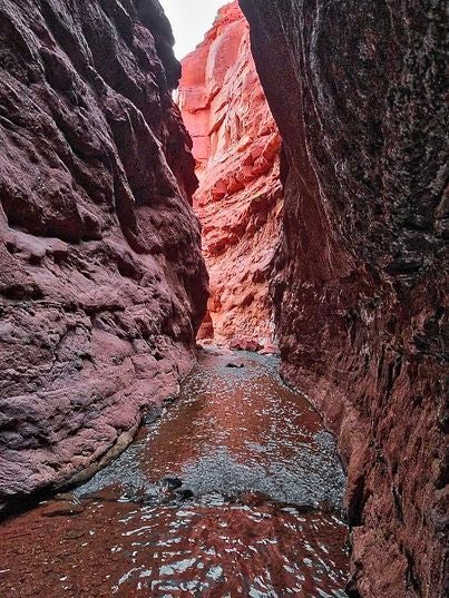 The Grand County Sheriff's Search and Rescue team saved a woman and her dog who were trapped in a canyon by a flash flood - Emergency SOS via Satellite saves a woman and her dog from flash flood