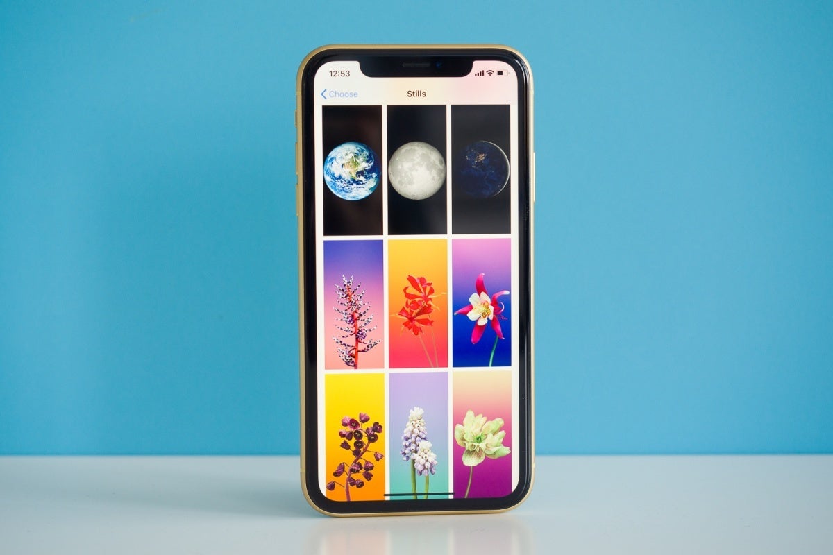 The iPhone SE 4 will probably not look like 2018&#039;s iPhone XR (pictured here) after all. - New report foreshadows a whole bunch of exciting upgrades for Apple&#039;s iPhone SE 4