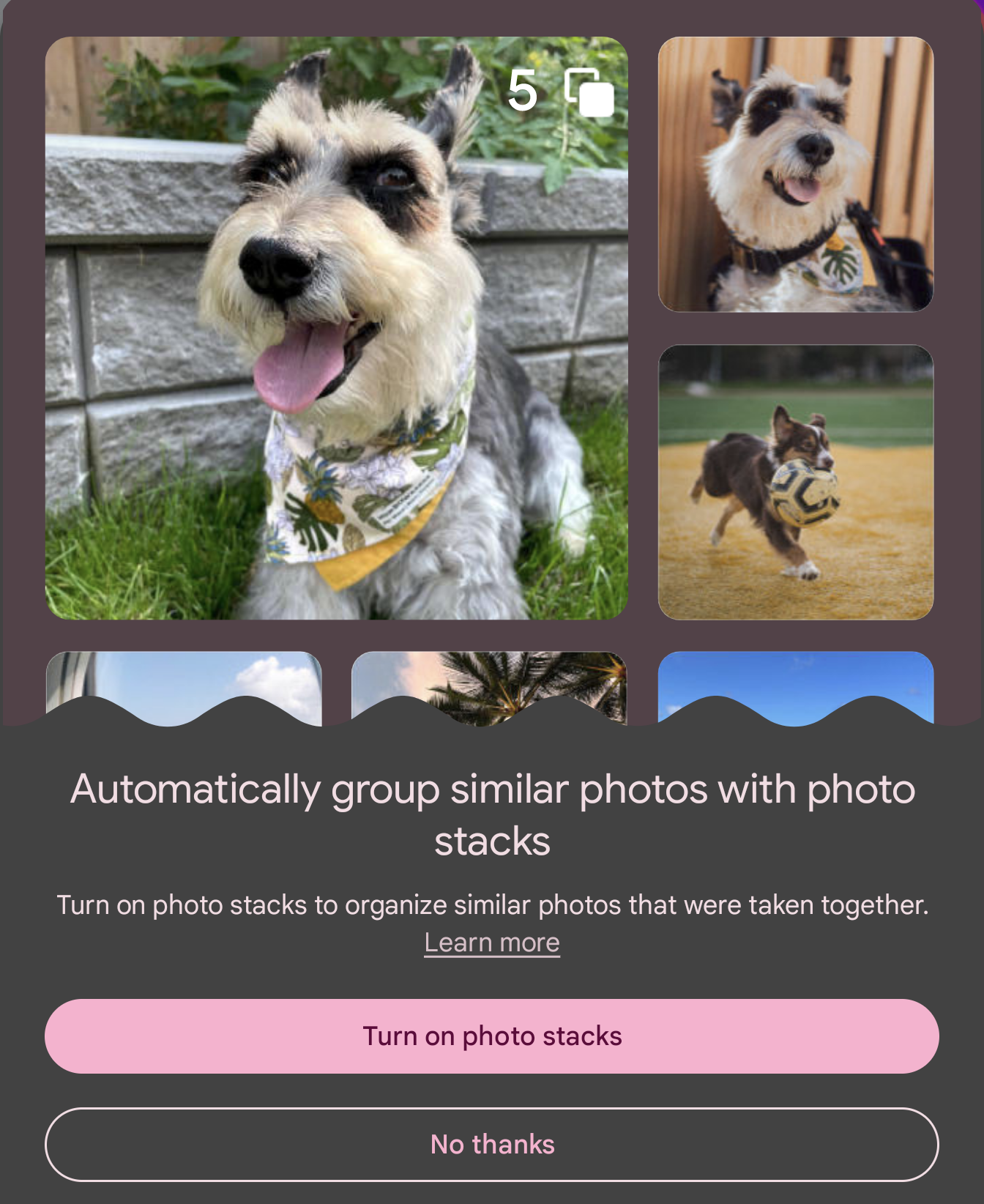 Image Credit–alexandriaofwar - The recently leaked Photo Stack feature is making its way to Google Photos