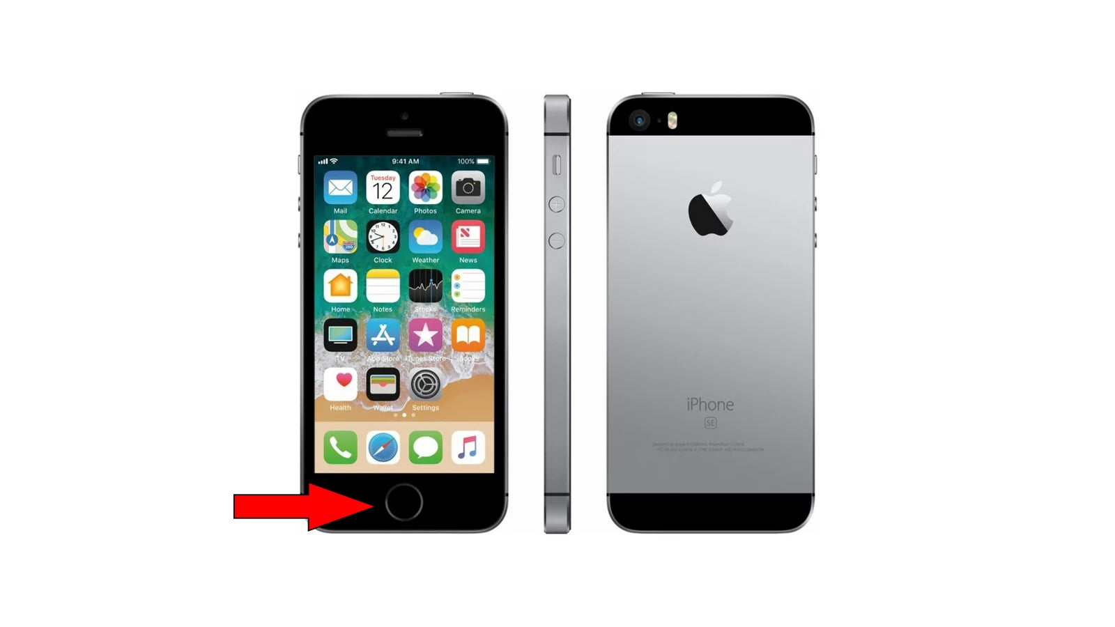 Arrow shows Touch ID on the first-generation iPhone SE - Apple's rumored move spells the end of Touch ID on the iPhone as we know it