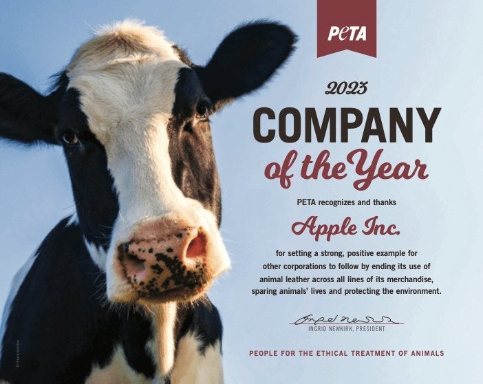 Crédito da imagem – PETA - A Apple é eleita a Empresa do Ano da PETA pela decisão de retirar o couro de todos os seus produtos