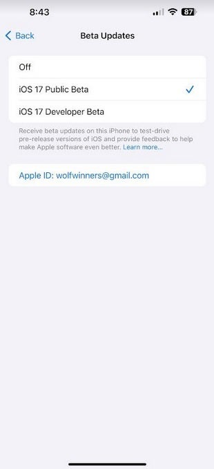 Installing the iOS 17.3 beta 1 update with the Stolen Device Protection feature - Going out tonight with your iPhone? Don't make these mistakes!