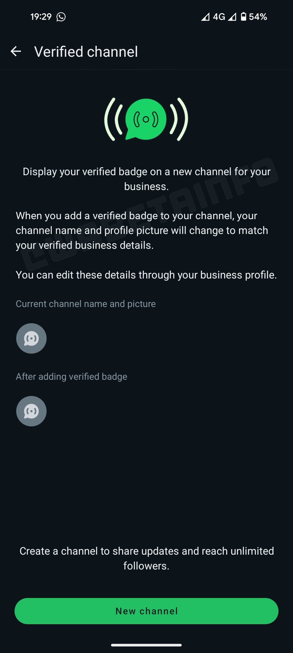 WhatsApp whips out the blue paint for business channels and verified badges