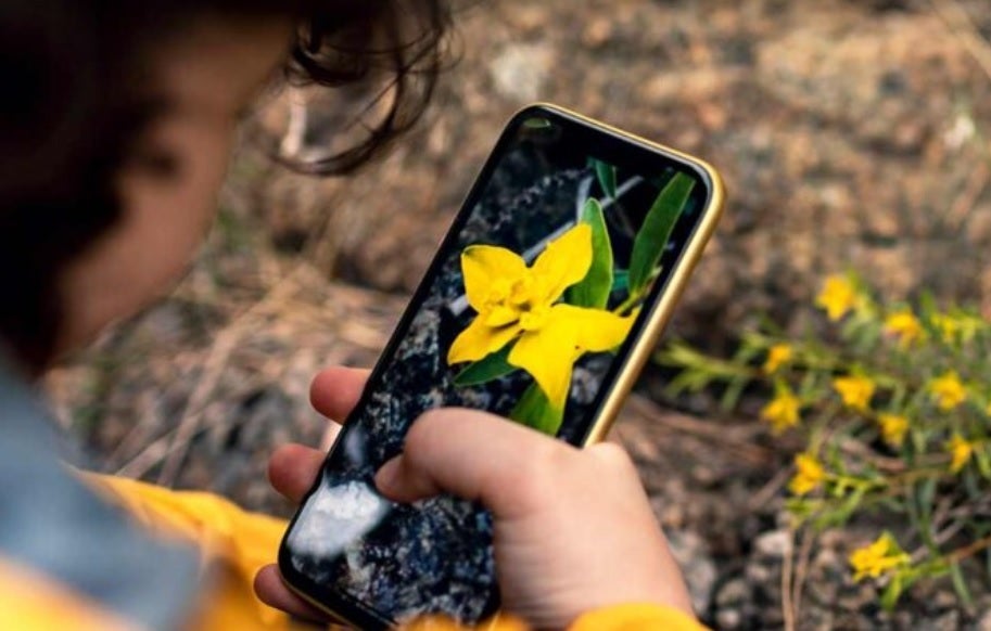 ARM has a new Cortex-X CPU core coming to smartphones in 2025 - ARM's new Cortex-X CPU core could close Android's performance gap with iPhone