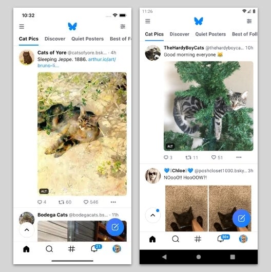 Remember Bluesky? The social networking app is now open to everyone