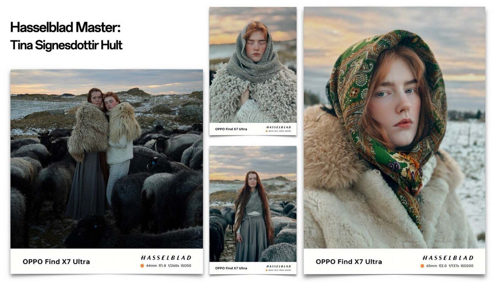 Images showing the Oppo Find X7 Ultra Hasselblad Portrait Mode - OnePlus, Oppo partnership with Hasselblad is rumored to be near an end. What does this mean for your photos?