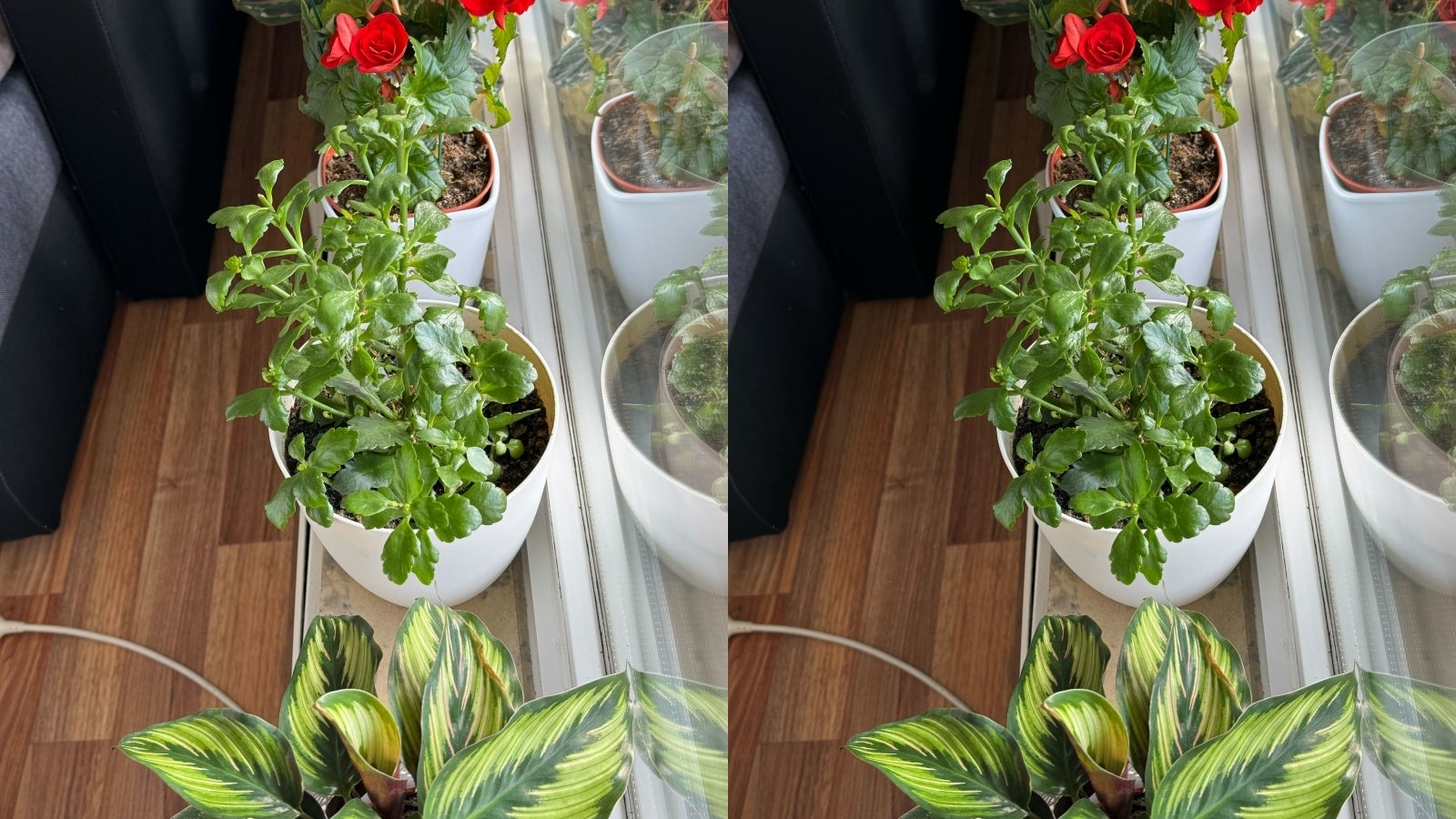 A mild example of overexposing. Left - original iPhone photo. Right - Brightness set to -30, Brilliance set to -20, Saturation set to -5. - These new iPhone camera tricks will change the way you take photos and videos forever!