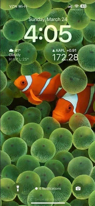 The nostalgic clownfish wallpaper is part of this customizable Lock Screen - Report says a &quot;more customizable&quot; Home Screen is coming to iPhone with iOS 18