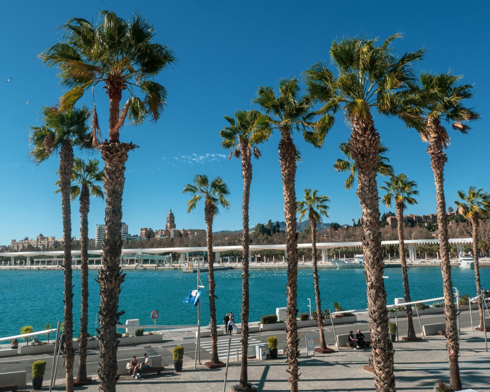 Panasonic TZ200, 1x - I took 500 photos in Spain with this phone and now my dedicated camera is redundant (COMPARISON)