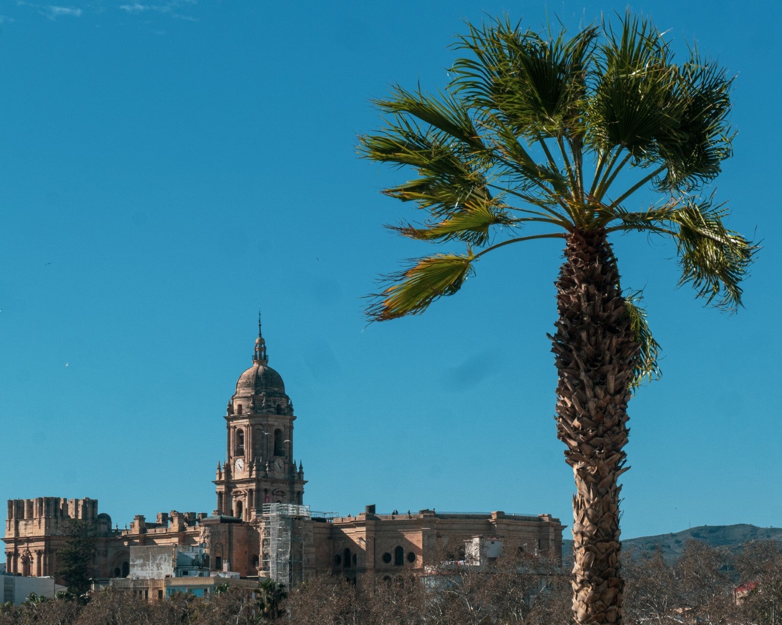 Panasonic TZ200, 6x - I took 500 photos in Spain with this phone and now my dedicated camera is redundant (COMPARISON)
