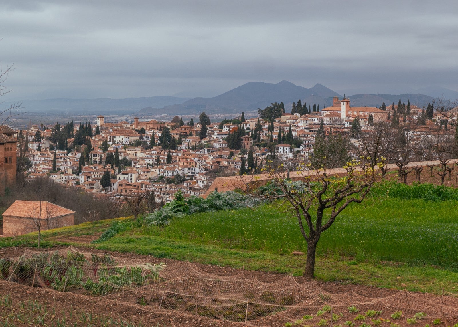 Panasonic TZ200, 3x - I took 500 photos in Spain with this phone and now my dedicated camera is redundant (COMPARISON)