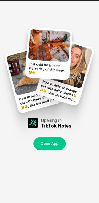 TikTok prévoit de s'attaquer à Instagram avec une nouvelle application pour partager des photos