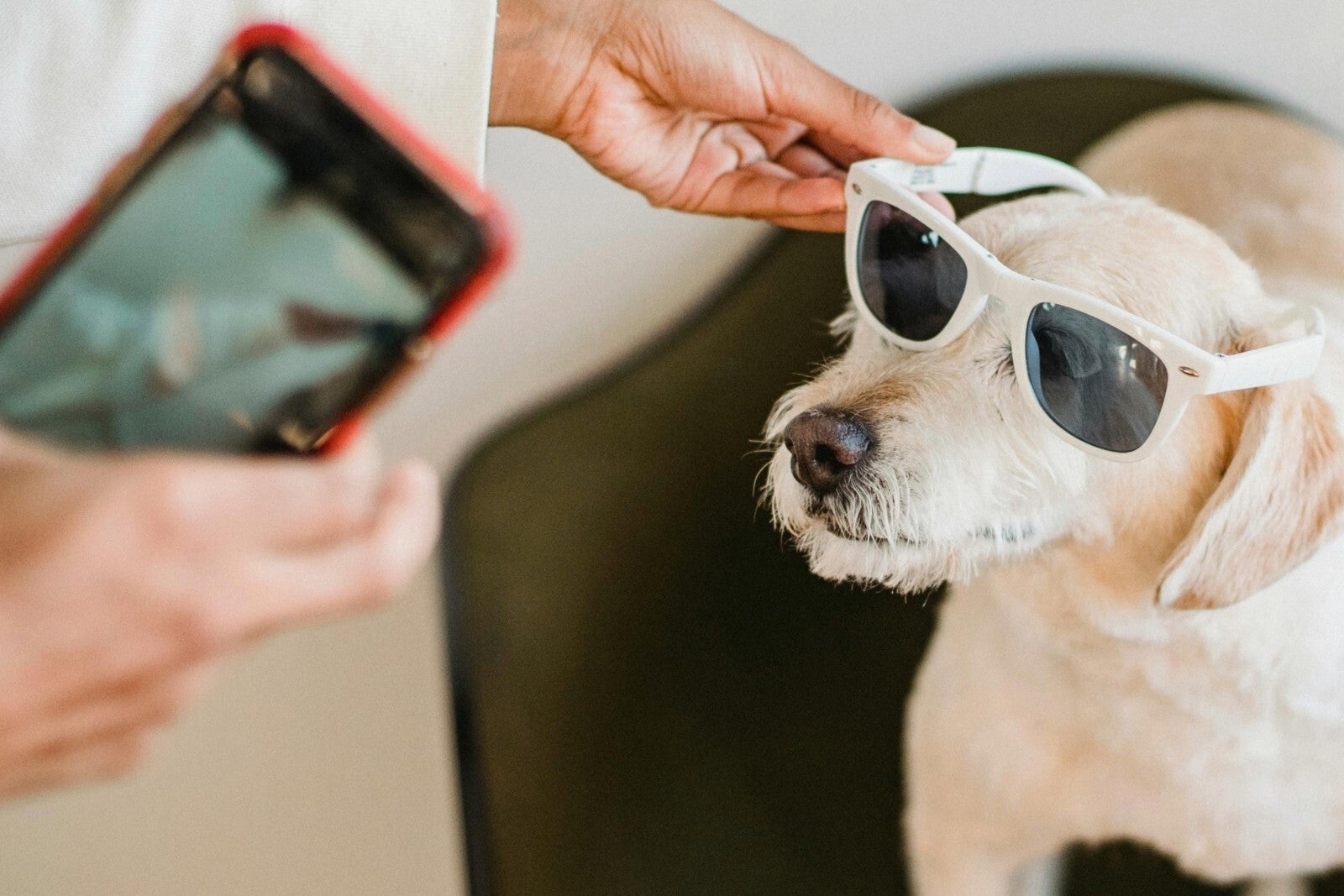 I may seem all funny now, but just leave your phone out of sight, and I&#039;ll have a little &#039;talk&#039; with it! - Can your phone survive you? 8 classic ways (plus some dumb ones) to damage your phone