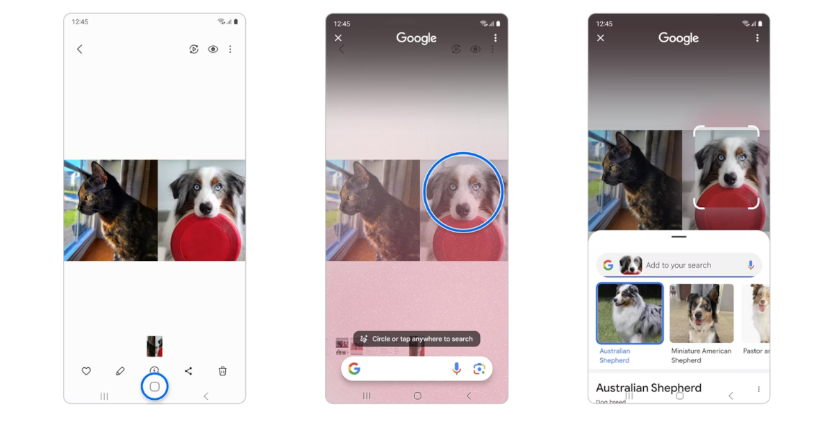 You can discover your future dog&#039;s breed with Circle to Search (Image Credit–Samsung) - Galaxy AI: Everything you need to know about Samsung&#039;s new AI system