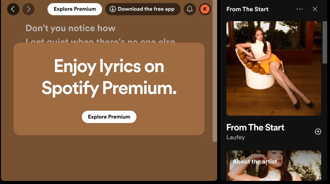 Image Credit- Reddit user javonce - The end of free singing? Spotify might hide lyrics unless you pay