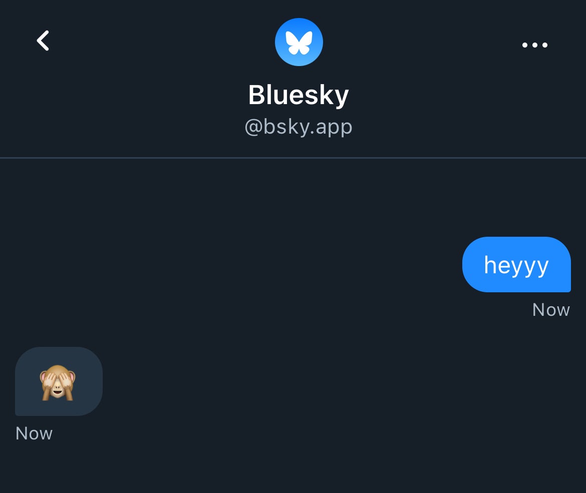 Bluesky users can now slide into those DMs
