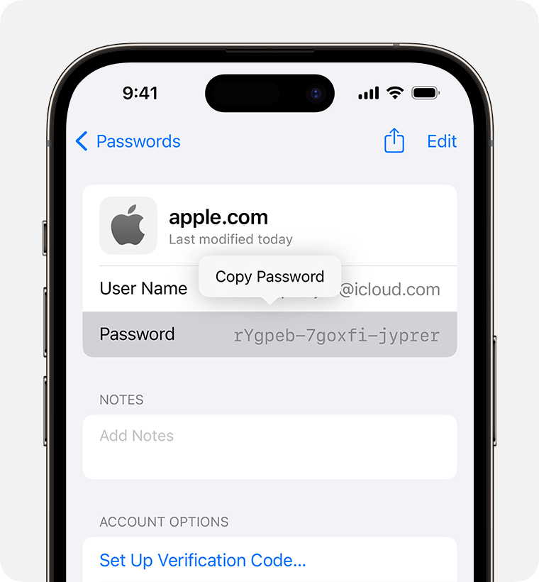 The new app also aims to make password management easier than now | Image credit – Apple
