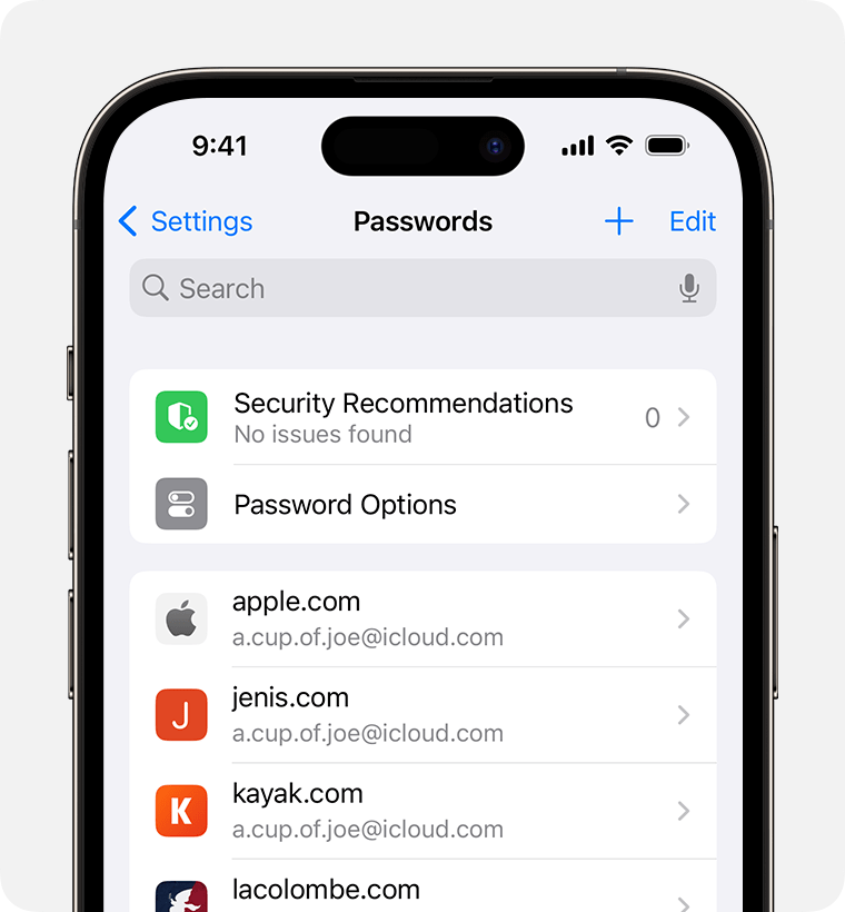 The new app promises quicker access to passwords by removing the need to dig through settings as shown in the image | Image credit – Apple