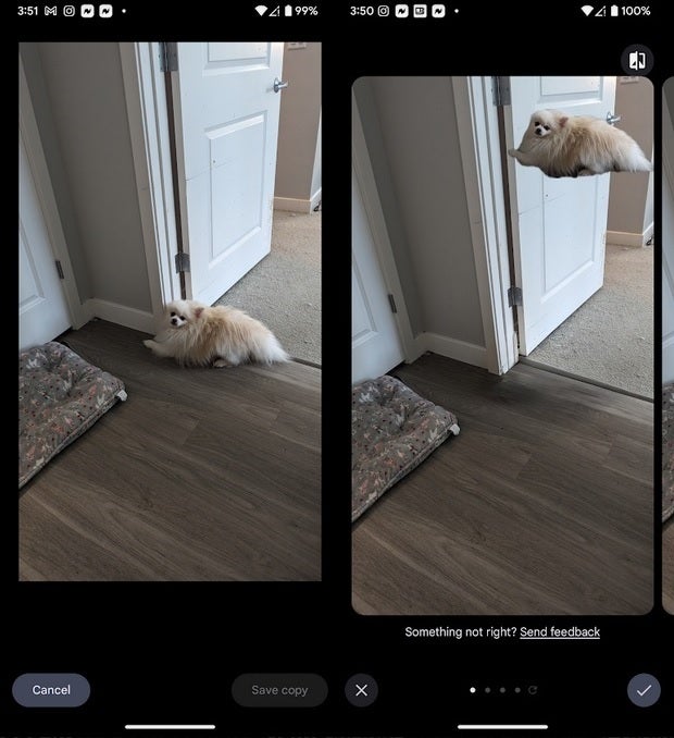 The Magic Editor on the Pixel 6 Pro helps a Pomeranian fly - Samsung Galaxy devices can now use the Magic Editor via the Google Photos app