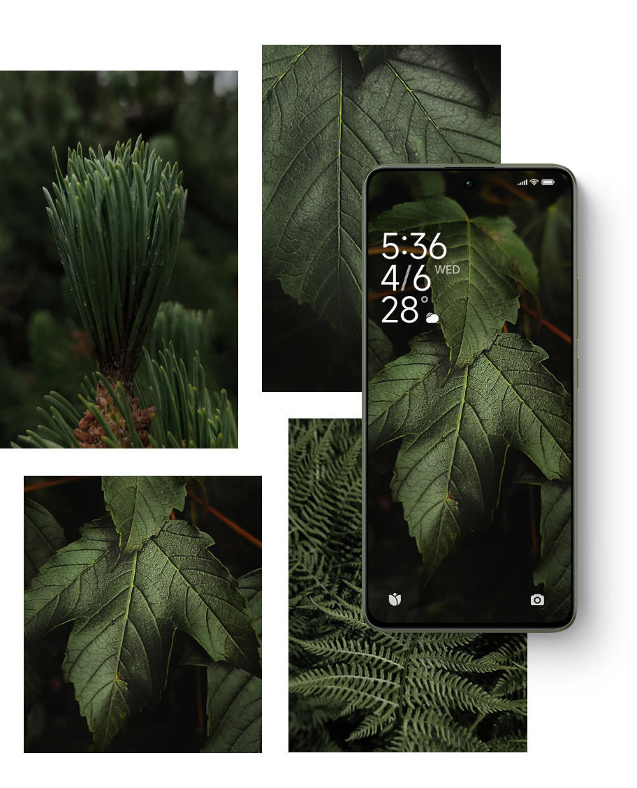 Image credit - Sylvain Terret and Xiaomi - 16 free wallpapers that will bring a green peace to your phone