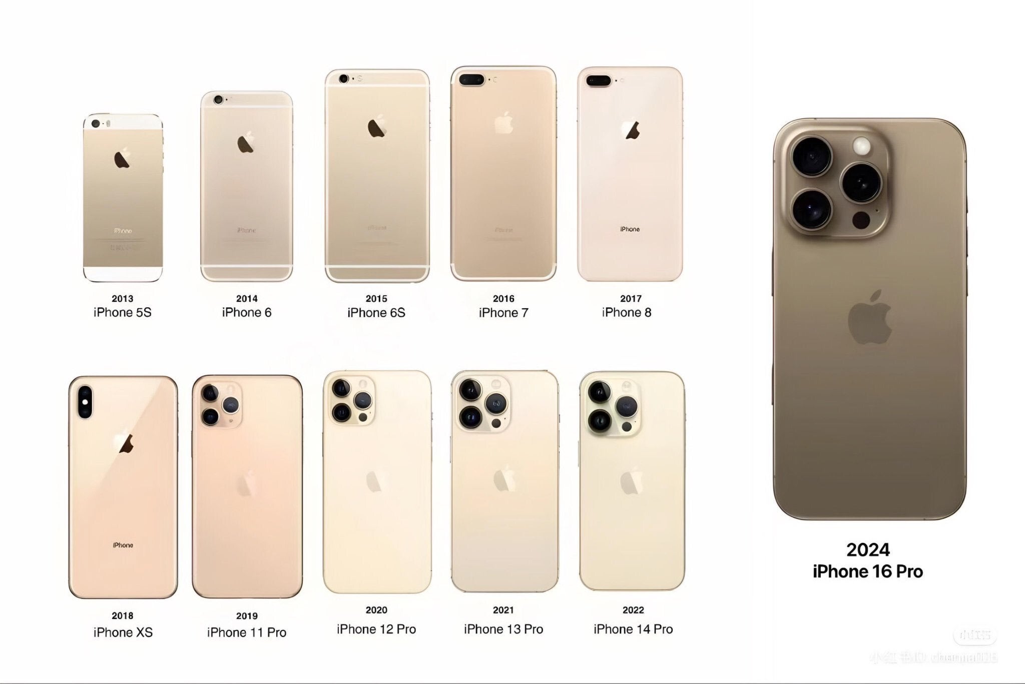 Choose your favorite gold iPhone! I'll take the iPhone 5S. - The 