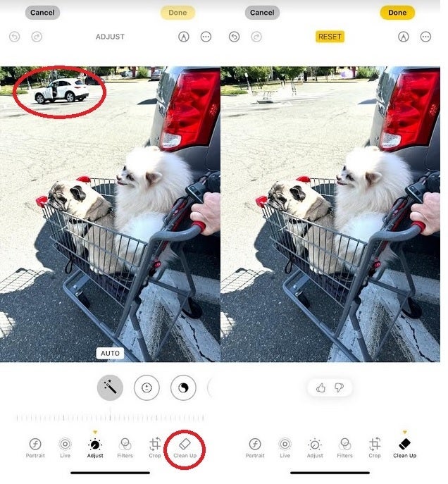 Clean Up gets rid of the distracting car in the background. | Image credit-PhoneArena - iOS 18.1 Developer Beta 3 is released bringing a cool new AI feature to the Photos app
