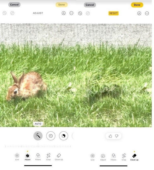 What&#039;s gone, Doc? While not perfect, Clean Up still makes the rabbit disappear. | Image credit-PhoneArena - iOS 18.1 Developer Beta 3 is released bringing a cool new AI feature to the Photos app