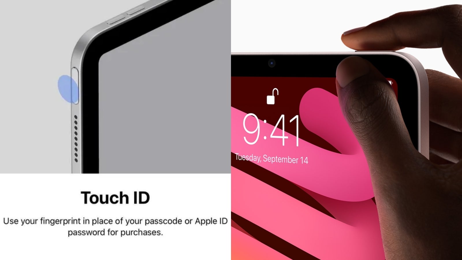 iPad Air Touch ID breakdown. 