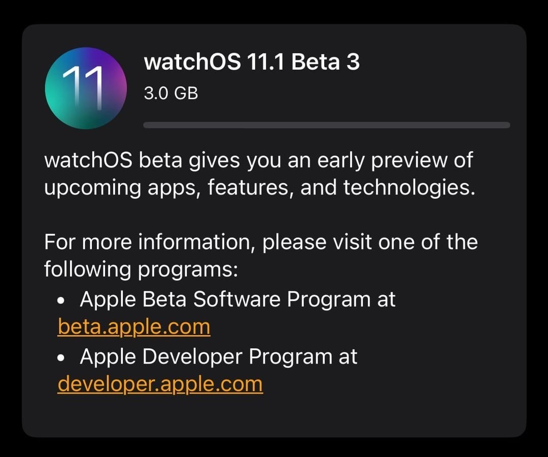 Apple watchOS 11 beta