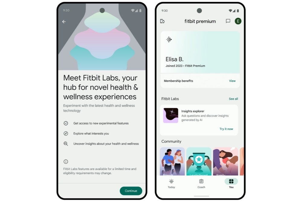 Tangkapan layar antarmuka Fitbit Labs