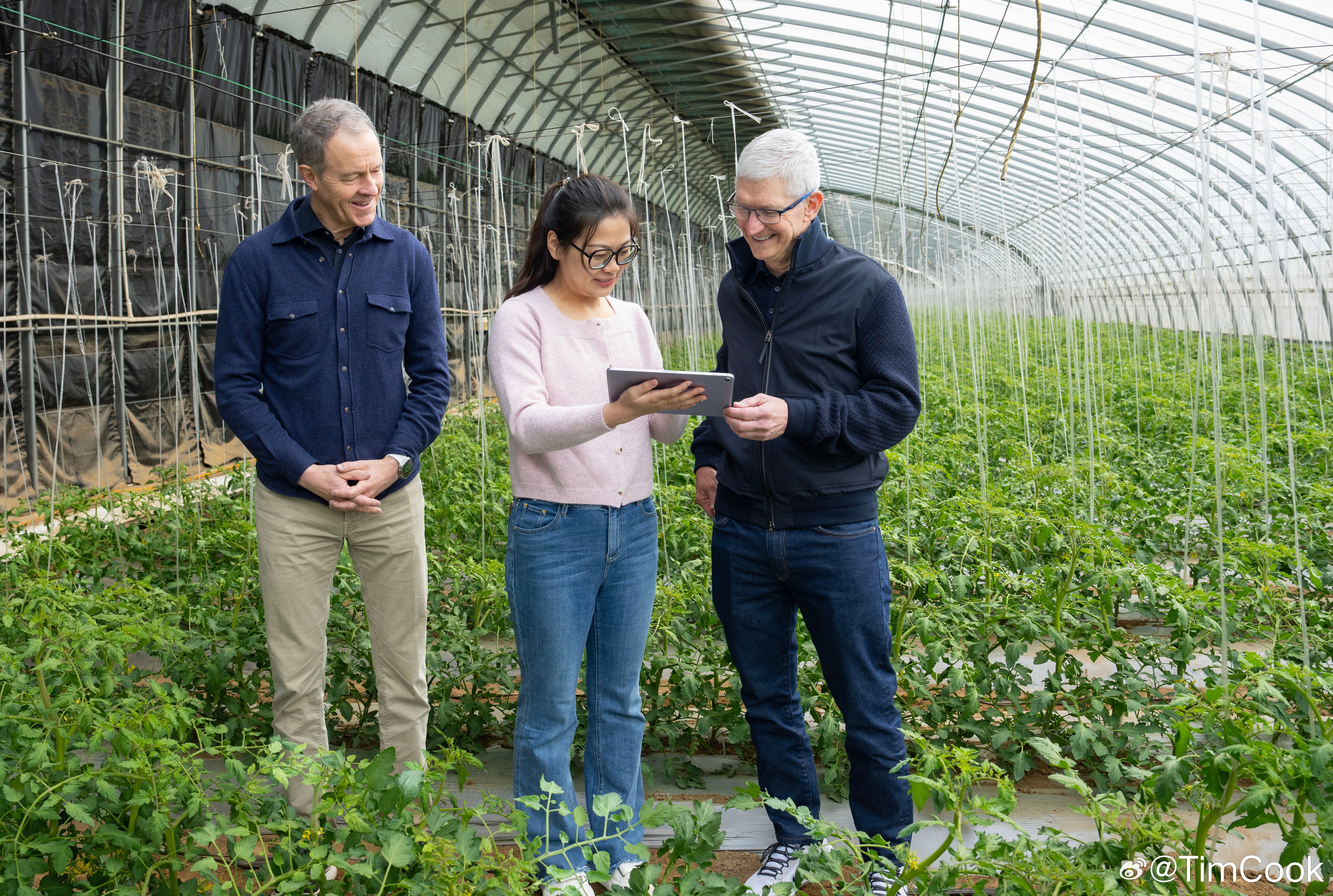 Apple CEO Tim Cook visited a farm in Beijing&#039;s Shunyi district, where he met with students from China Agricultural University and Zhejiang University. | Image credit – Tim Cook, Weibo - Tim Cook once again in China, but no word on Apple Intelligence