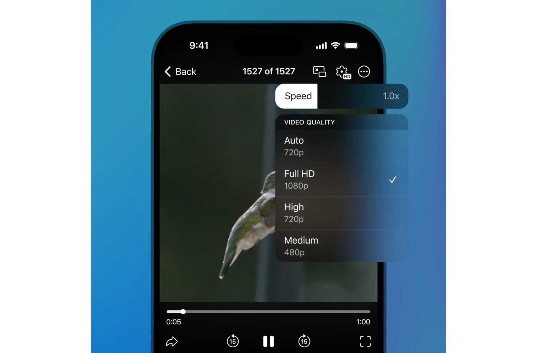 Screenshot showing the setting to change video quality and playback speed.